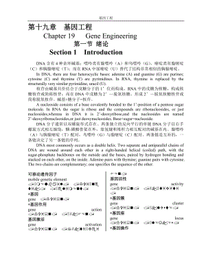 基因工程学原理专业名词.doc