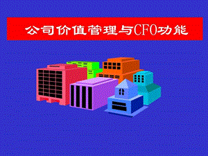 公司价值管理与CFO功能教材.ppt