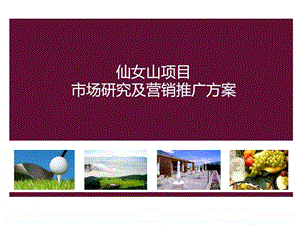 旅游地产整合营销推广计划书.ppt.ppt