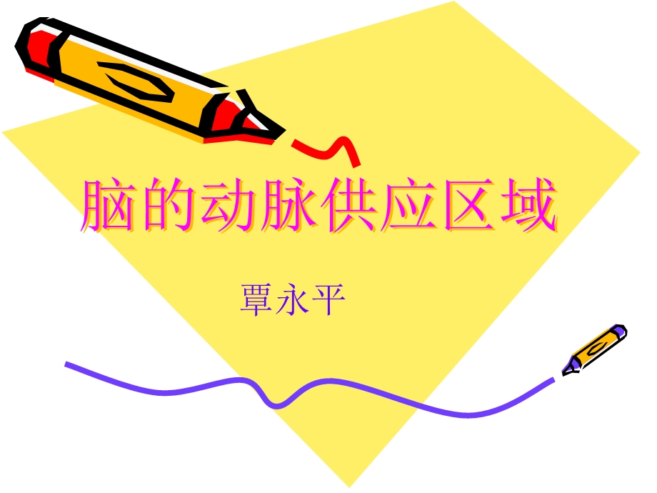 脑的动脉供应区域.ppt_第1页