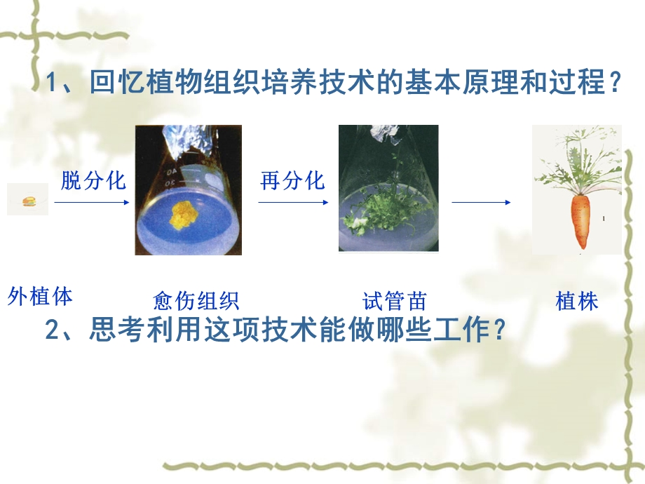 细胞工程应用.ppt_第2页