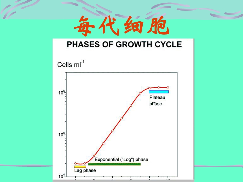 2细胞培养技术每代细胞.ppt_第2页