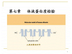 第七章体液蛋白质检验图文.ppt.ppt