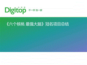 最强大脑项目执行总结图文.ppt.ppt