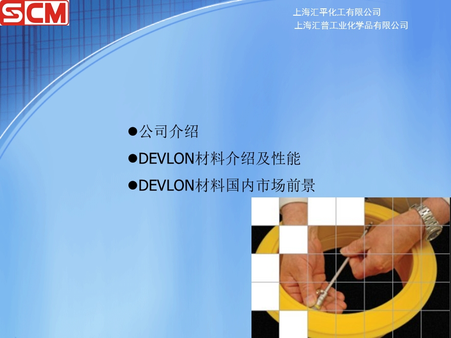 DEVLON戴维龙产品资料.ppt_第2页