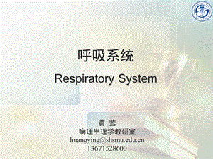 呼吸系统教学资料呼吸系统绪论914.ppt