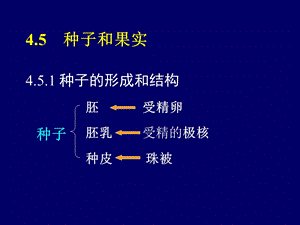 植物学教学资料第六节种子和果实.ppt