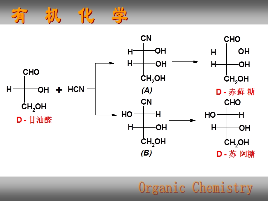 碳水化合物.ppt_第3页