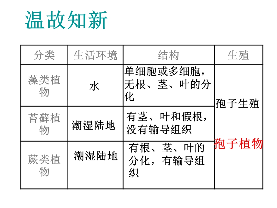 第二节种子植物 精品教育.ppt_第1页