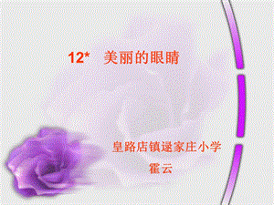 美丽的眼睛课件11.ppt