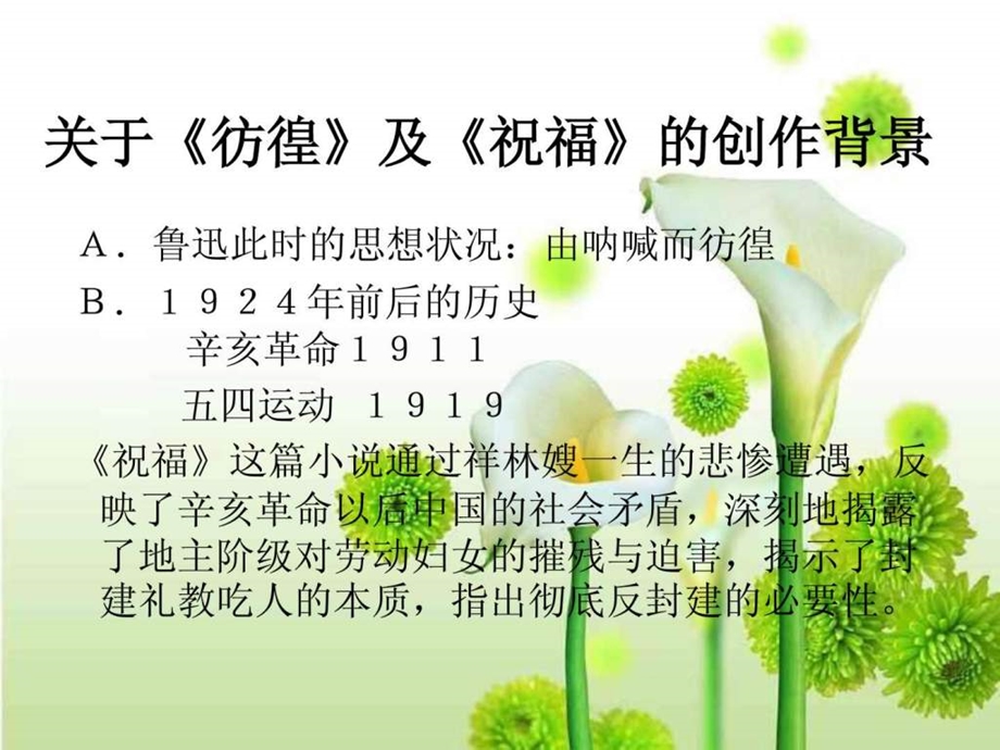 祝福鲁迅优秀课件ppt图文.ppt.ppt_第2页