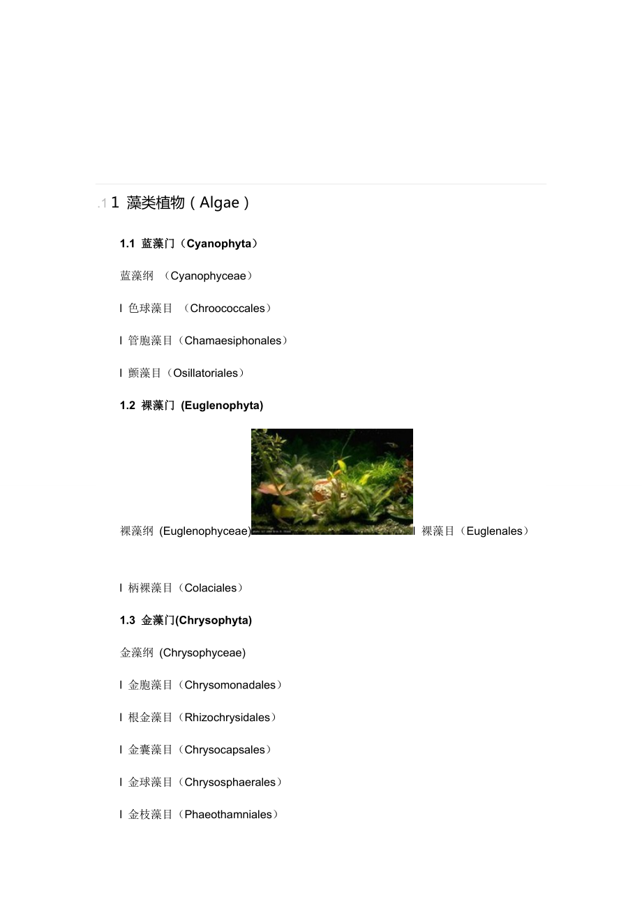 11藻类植物.doc_第1页