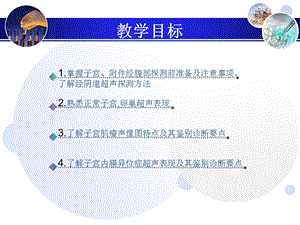 妇科超声诊断.ppt