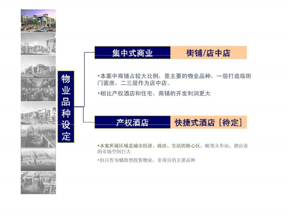 邯郸秀水街项目前期策划及整体营销策略报告.ppt_第3页