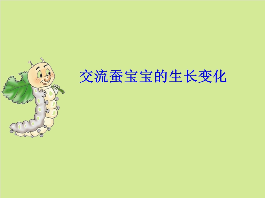 蚕的生长变化.ppt_第2页