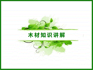 木材知识讲解.ppt.ppt