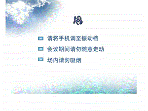 中国平安人寿创说会图文.ppt.ppt