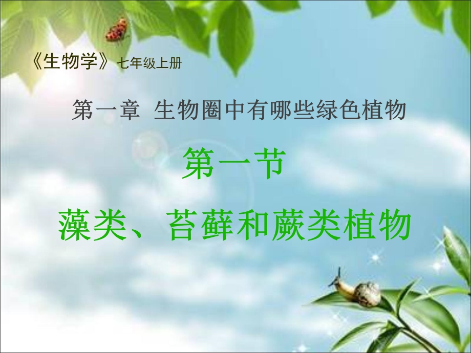 藻类苔藓和蕨类植物PPT.ppt_第1页