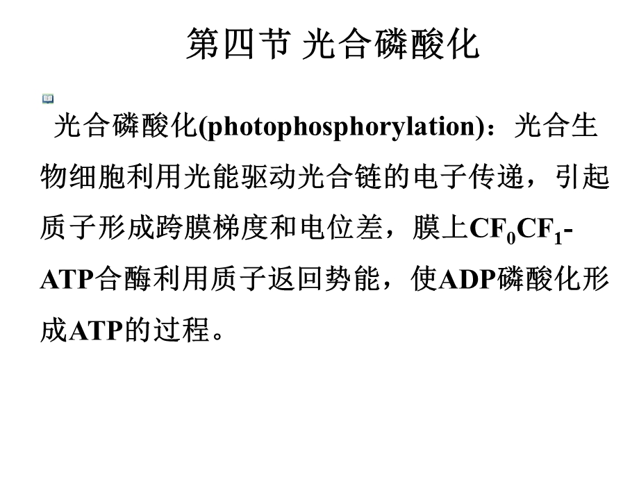 线粒体外氧化系统32.ppt_第1页