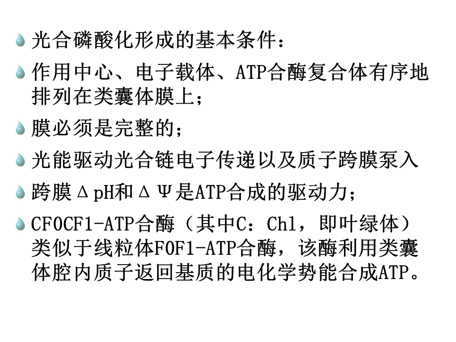 线粒体外氧化系统32.ppt_第2页