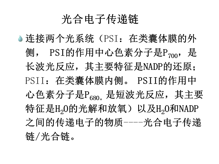 线粒体外氧化系统32.ppt_第3页