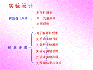 实验设计与分析三道例题.ppt