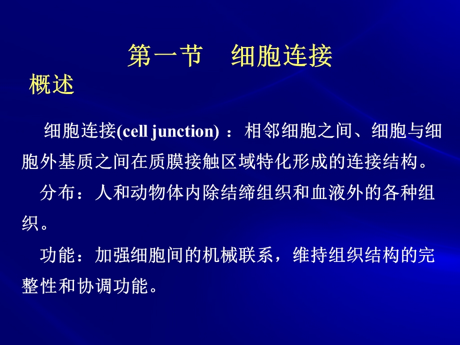 第十章细胞连接.ppt_第3页