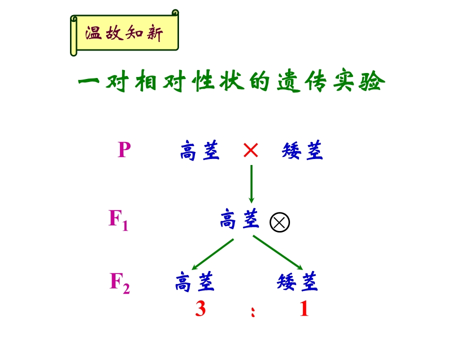 （很好）2011孟德尔豌豆杂交实验二第一课时小玲用.ppt_第2页