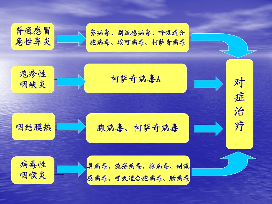 呼吸泌尿感染.ppt_第3页