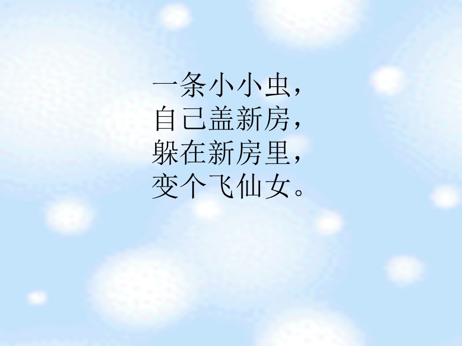 蚕姑娘（第一课时）.ppt_第2页