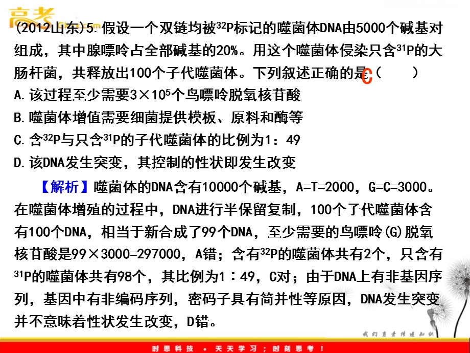 DNA分子的复制终稿.ppt_第2页