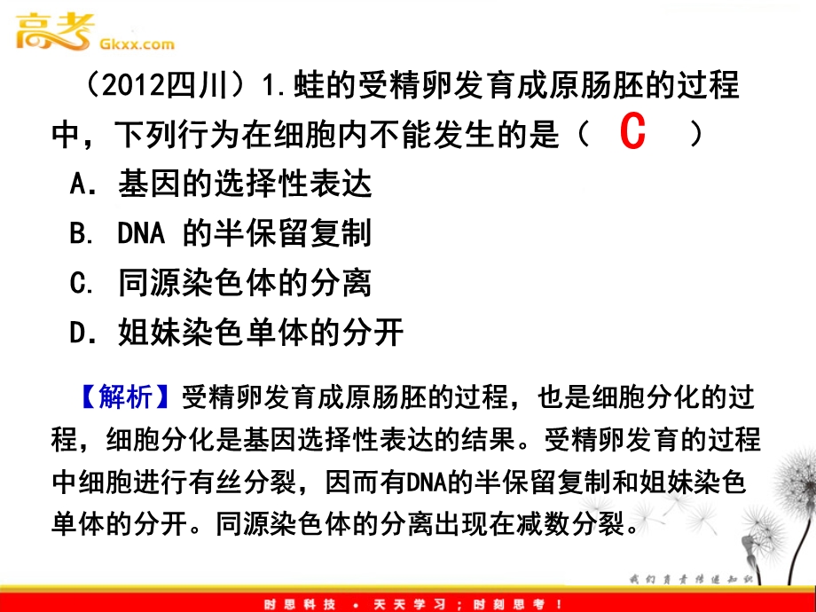 DNA分子的复制终稿.ppt_第3页