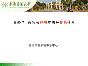 兽医药理学实验02.ppt