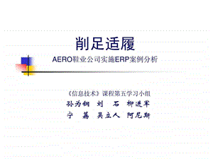 削足适履aero鞋业公司实施erp案例分析.ppt