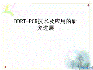 DDRTPCR技术研究进展.ppt