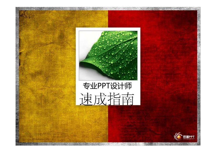 专业ppt设计师速成方案.ppt_第1页