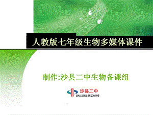 绿色植物与生物圈中的碳氧平衡.ppt