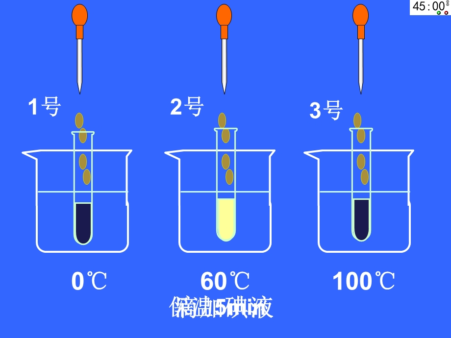 探究温度对酶活性的影响.ppt_第3页