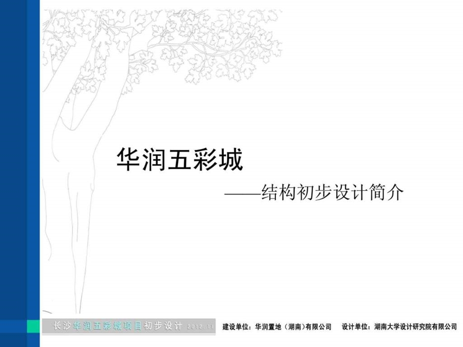 华润结构初步设计文本.ppt.ppt_第1页