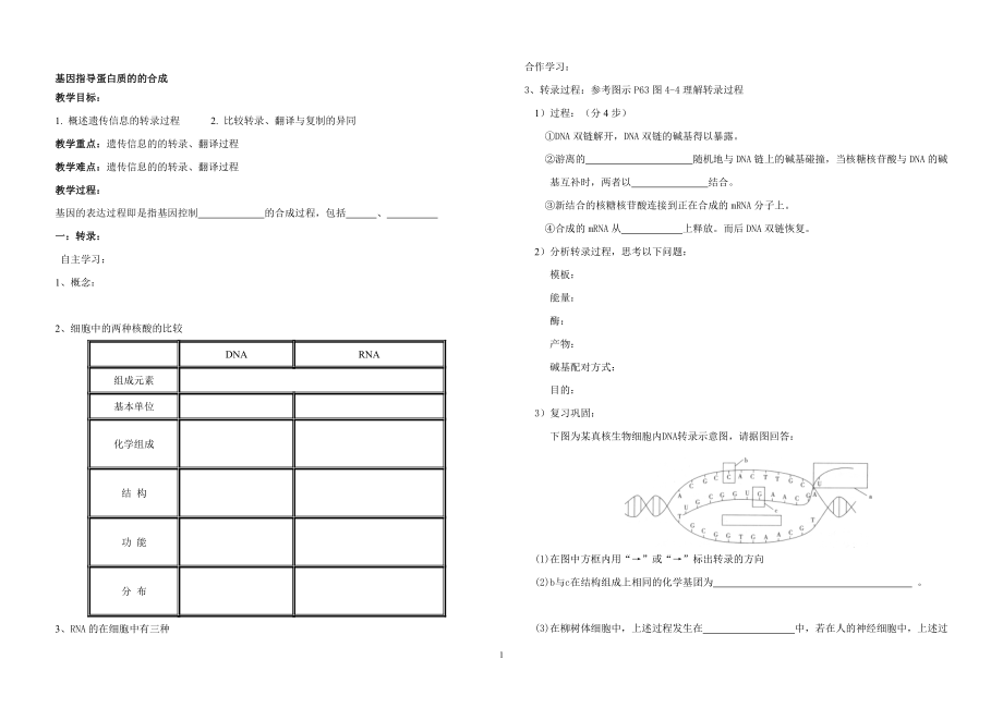 基因的表达导学案.doc_第1页