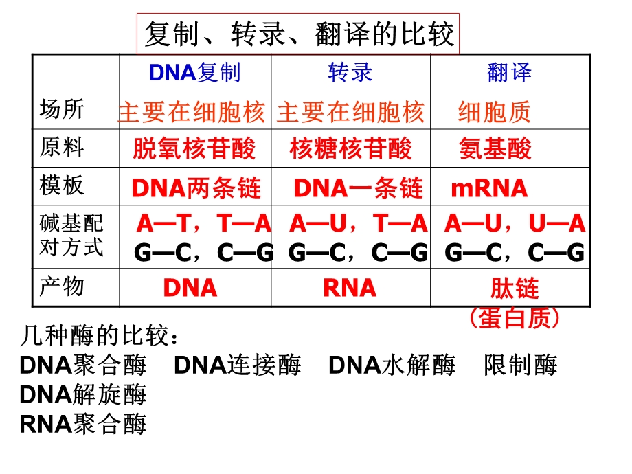 遗传的分子基础2.ppt_第2页