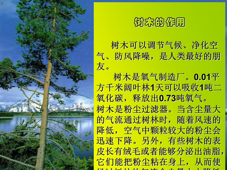 紧靠森林,为什么.ppt_第2页