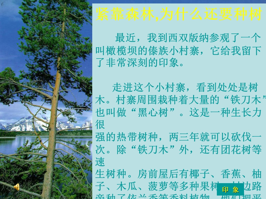 紧靠森林,为什么.ppt_第3页