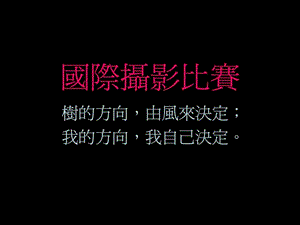 国际摄影比赛获奖作品.ppt