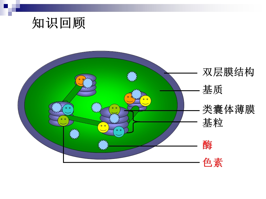 542光合作用的探究历程.ppt_第1页