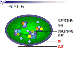 542光合作用的探究历程.ppt