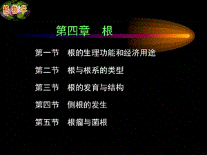 第四章第一节根.ppt