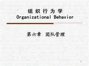 组织行为学第六章团队管理.ppt