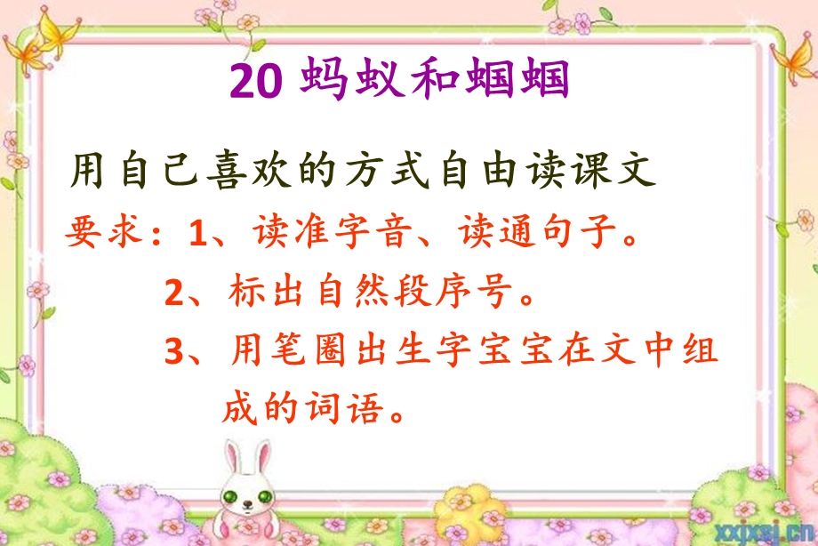 蚂蚁和蝈蝈万金花.ppt_第3页