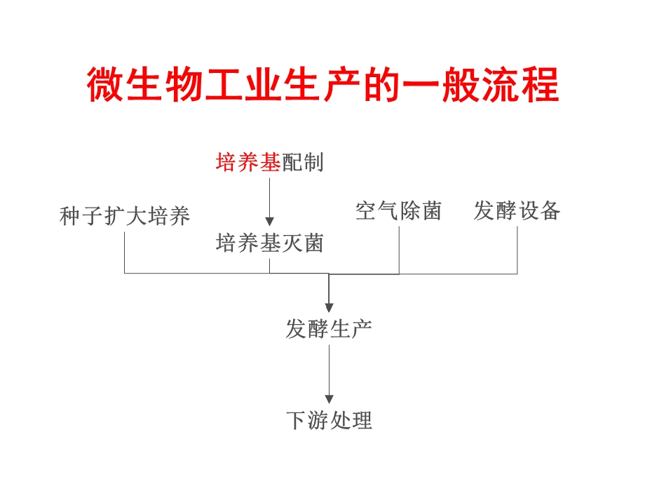 3培养基设计和淀粉制糖工艺.ppt_第2页